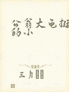 公翁大龟挺进我的小封面