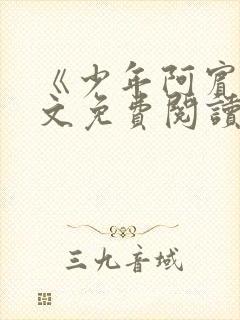 《少年阿宾》全文免费阅读封面