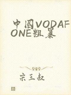 中国VODAFONE粗暴