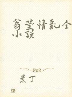 翁莹情乱全部篇小说封面