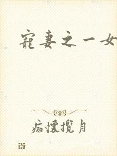 宠妻之一女二夫