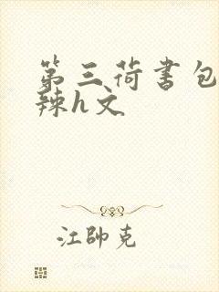第三荷书包网高辣h文
