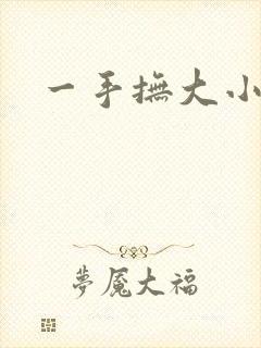 一手抚大小说