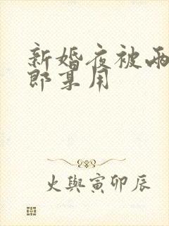 新婚夜被两个伴郎享用封面