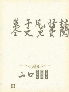 万千风情林小涛全文免费阅读