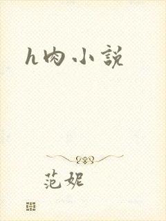 h肉小说