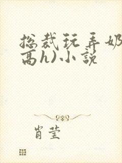 总裁玩弄奶头(高h)小说封面