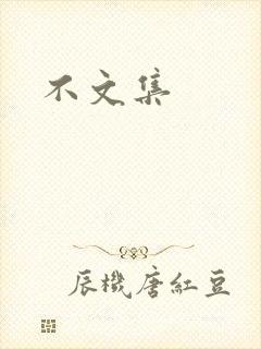 不文集封面