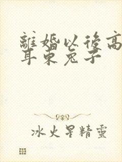 离婚以后高干 耳东兔子