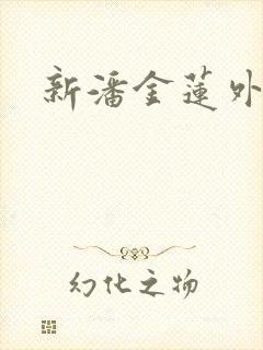新潘金莲外传封面