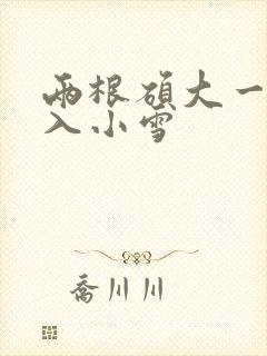 两根硕大一起挤入小雪