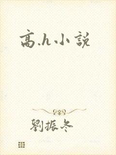 高.h小说