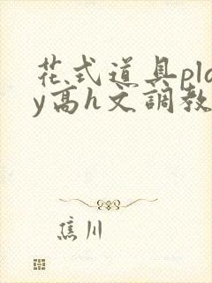 花式道具play高h文调教封面