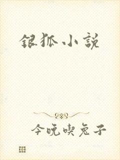银狐小说