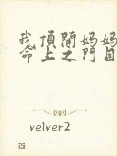 我顶开妈妈的生命上之门目录