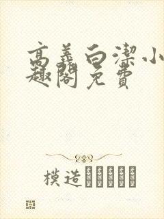 高义白洁小说笔趣阁免费封面