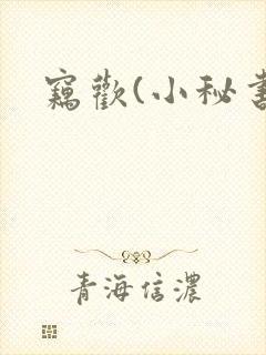 窃欢(小秘书)封面