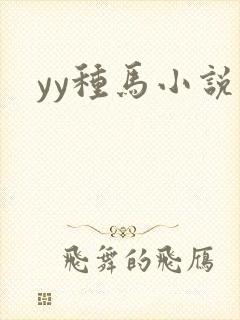 yy种马小说