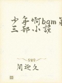 少年啊bgm第三部小说封面