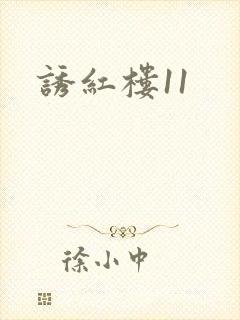 诱红楼11