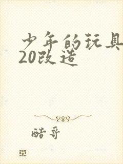 少年的玩具1一20改造