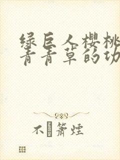 绿巨人樱桃荔枝青青草的功效封面