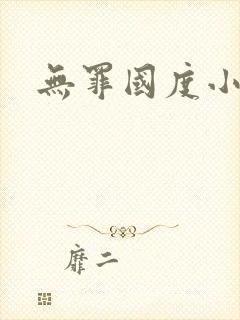 无罪国度小说封面