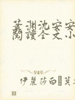 萧渊沈安安免费阅读全文小说