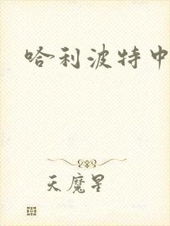 哈利波特中文版