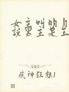 女主叫明月的小说男主是王爷