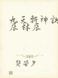 九天斩神诀 林辰 林辰