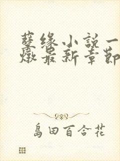 孽缘小说一家乱炖最新章节阅读封面