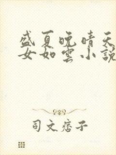 盛夏晚晴天之美女如云小说封面