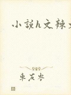 小说h文辣文封面