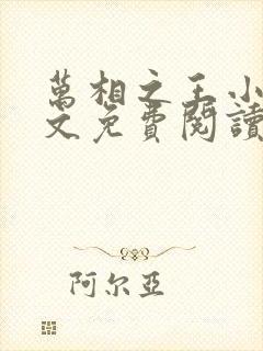 万相之王小说全文免费阅读无弹窗封面