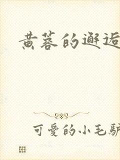 黄蓉的邂逅封面