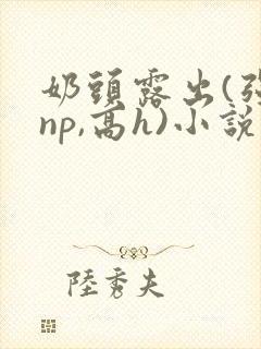 奶头露出(强jnp,高h)小说