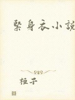 紧身衣小说封面