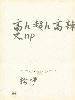 高h超h高辣h文np