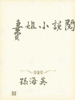 妻姐小说阅读免费封面
