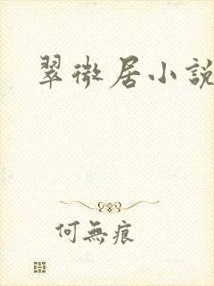 翠微居小说