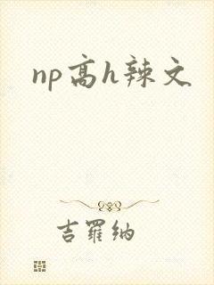 np高h辣文