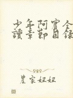 少年阿宾全文阅读章节目录