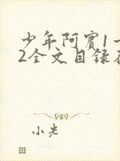 少年阿宾1一72全文目录在线