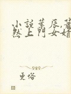 小说叶辰,萧初然上门女婿