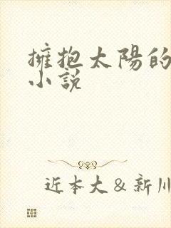 拥抱太阳的月亮小说