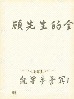 顾先生的金丝雀封面