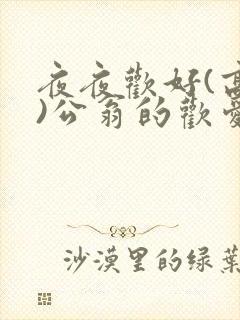 夜夜欢好(高h)公翁的欢爱