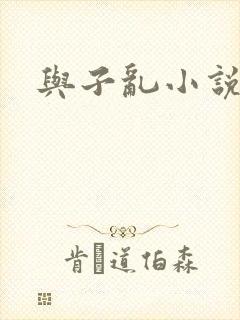 与子乱小说封面