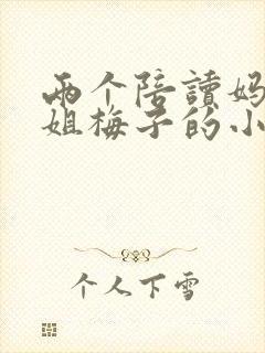 两个陪读妈妈赵姐梅子的小说封面